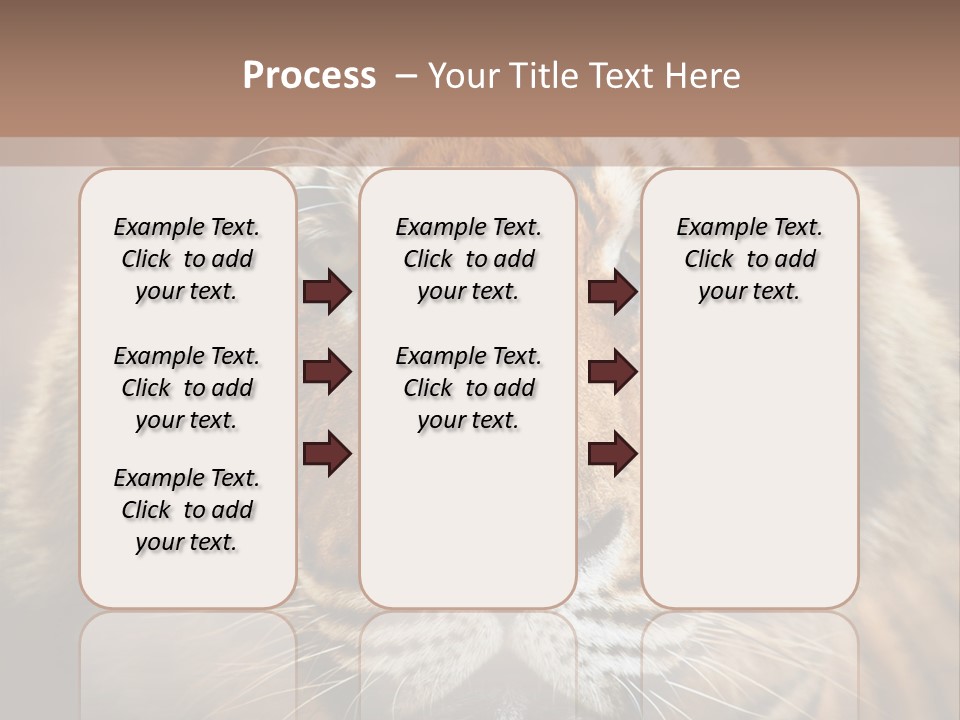 Tiger Page Closeup Safari PowerPoint Template