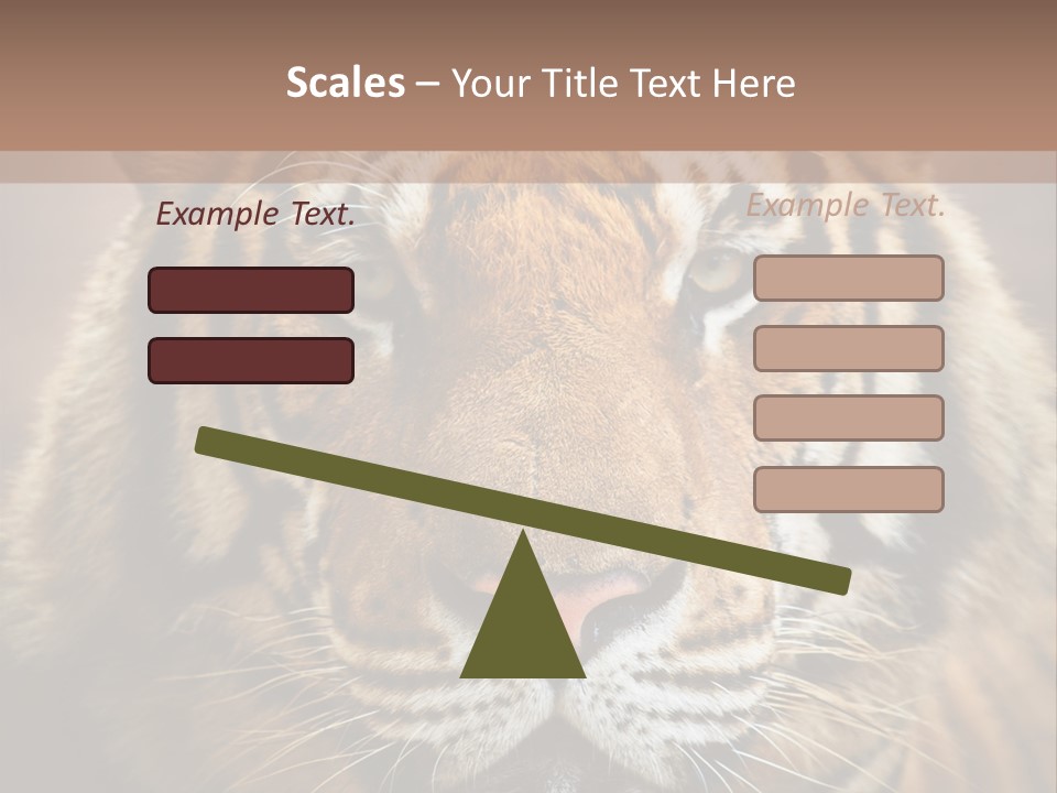 Tiger Page Closeup Safari PowerPoint Template