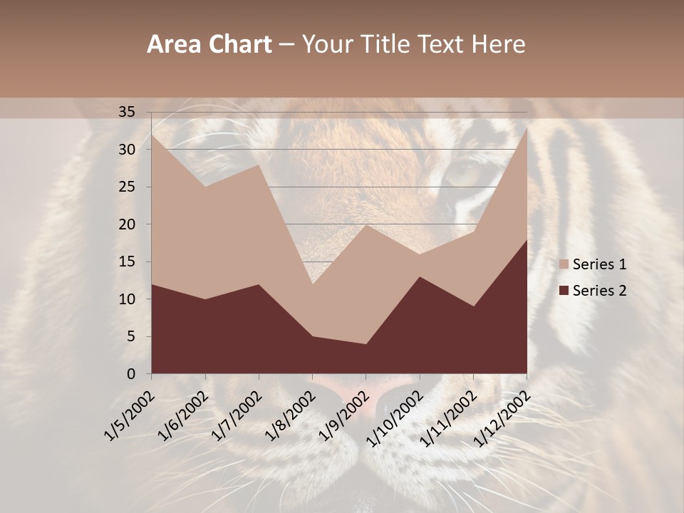 Tiger Page Closeup Safari PowerPoint Template