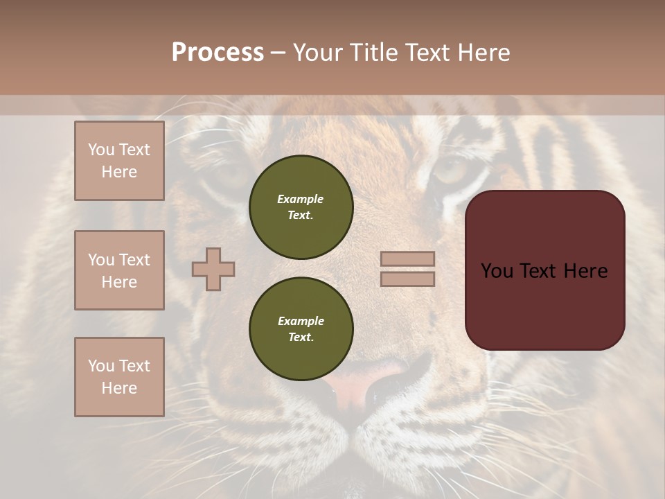 Tiger Page Closeup Safari PowerPoint Template