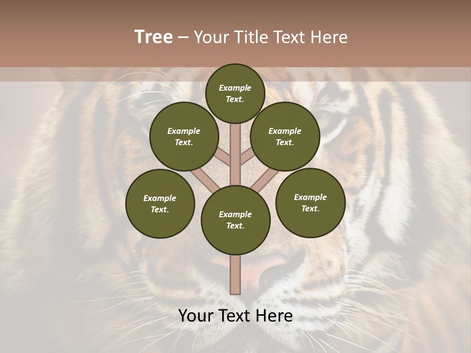 Tiger Page Closeup Safari PowerPoint Template