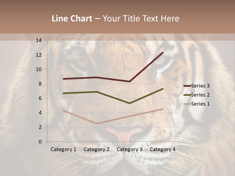 Tiger Page Closeup Safari PowerPoint Template