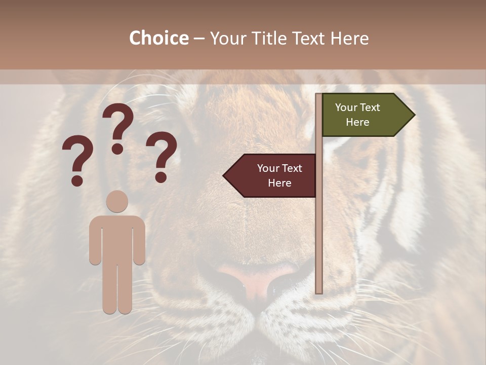 Tiger Page Closeup Safari PowerPoint Template