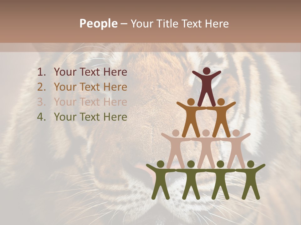 Tiger Page Closeup Safari PowerPoint Template