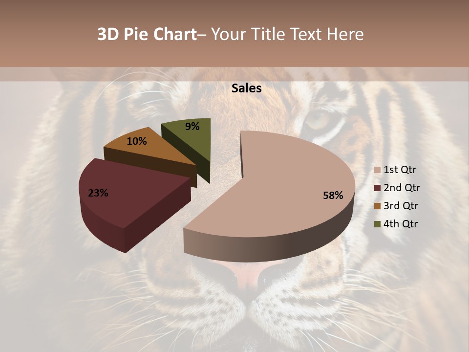 Tiger Page Closeup Safari PowerPoint Template