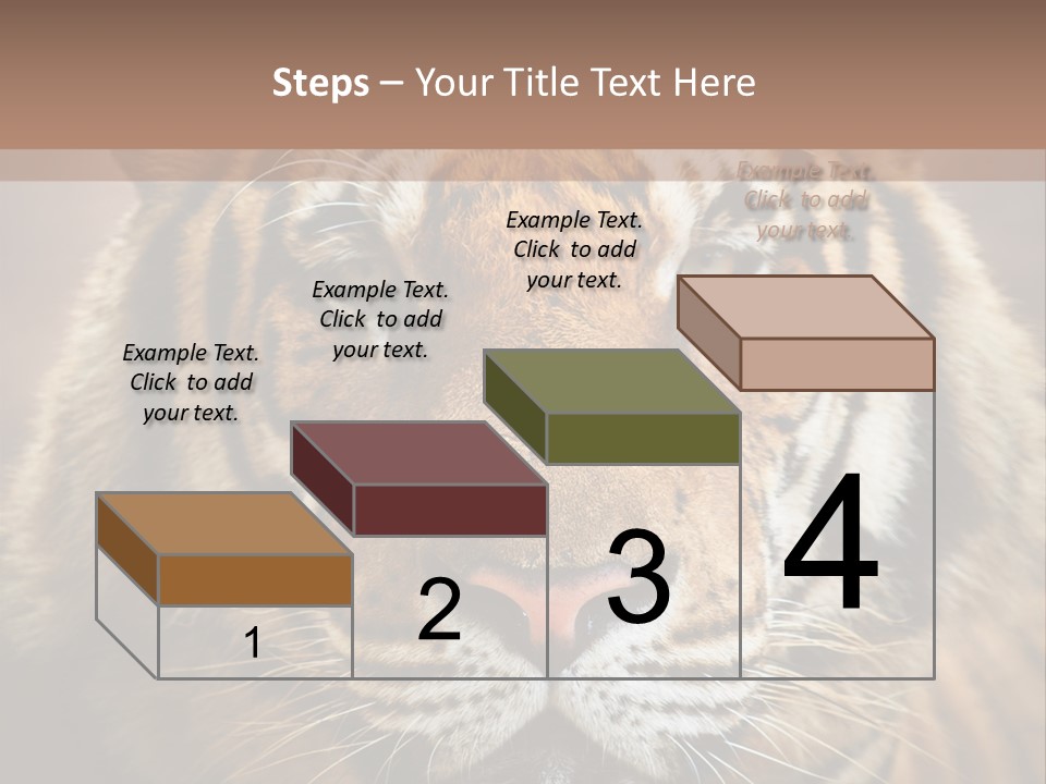 Tiger Page Closeup Safari PowerPoint Template