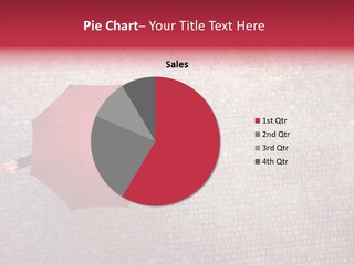 Checking Season Beauty PowerPoint Template