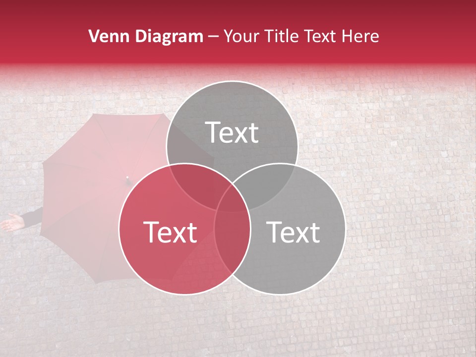 Checking Season Beauty PowerPoint Template