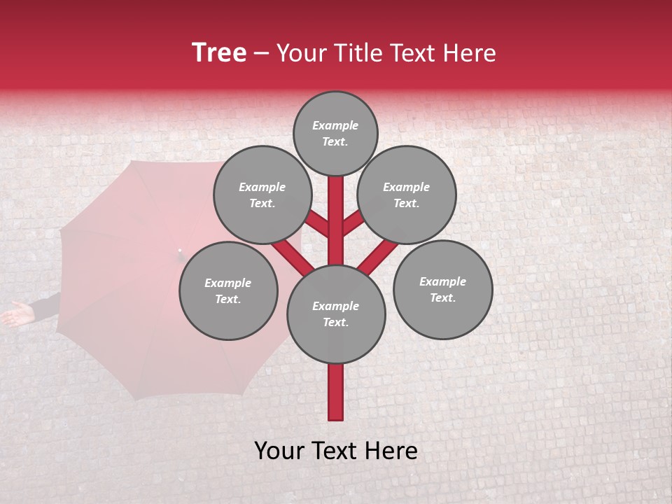 Checking Season Beauty PowerPoint Template