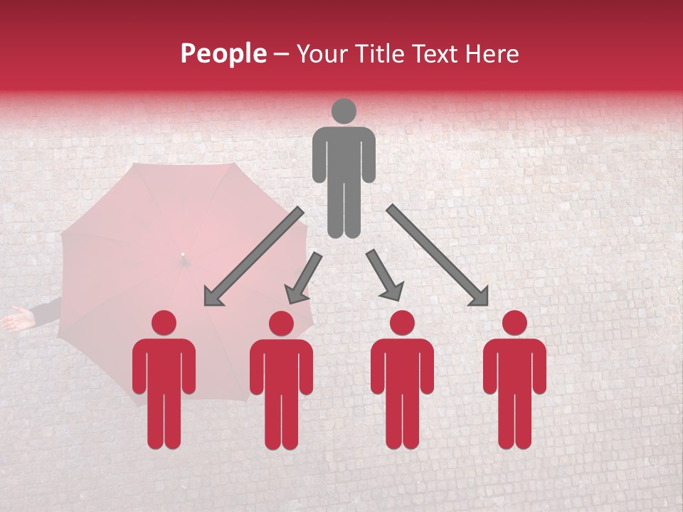 Checking Season Beauty PowerPoint Template