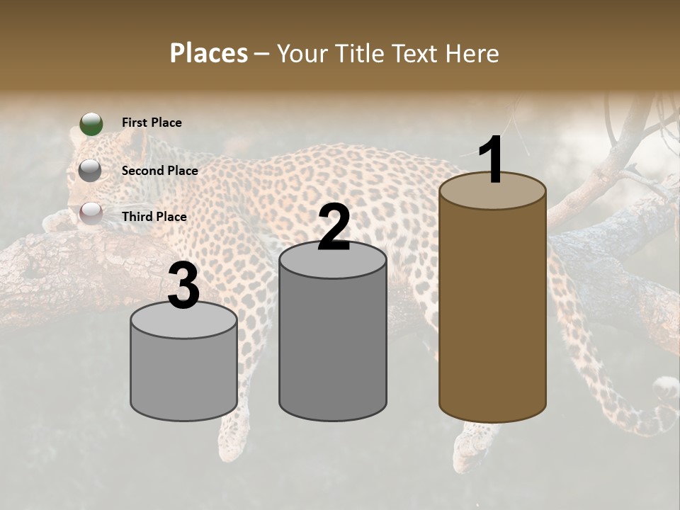 Botswana Well Fed Chitabe Camp PowerPoint Template