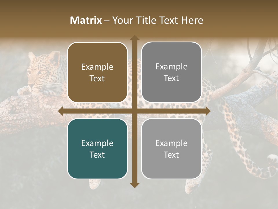 Botswana Well Fed Chitabe Camp PowerPoint Template