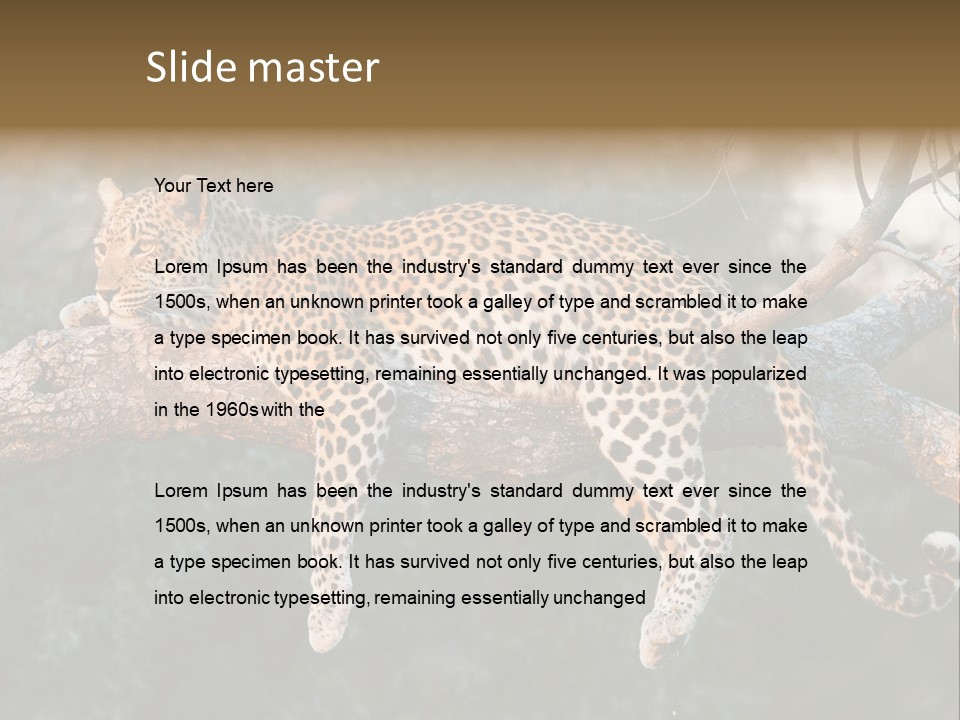 Botswana Well Fed Chitabe Camp PowerPoint Template