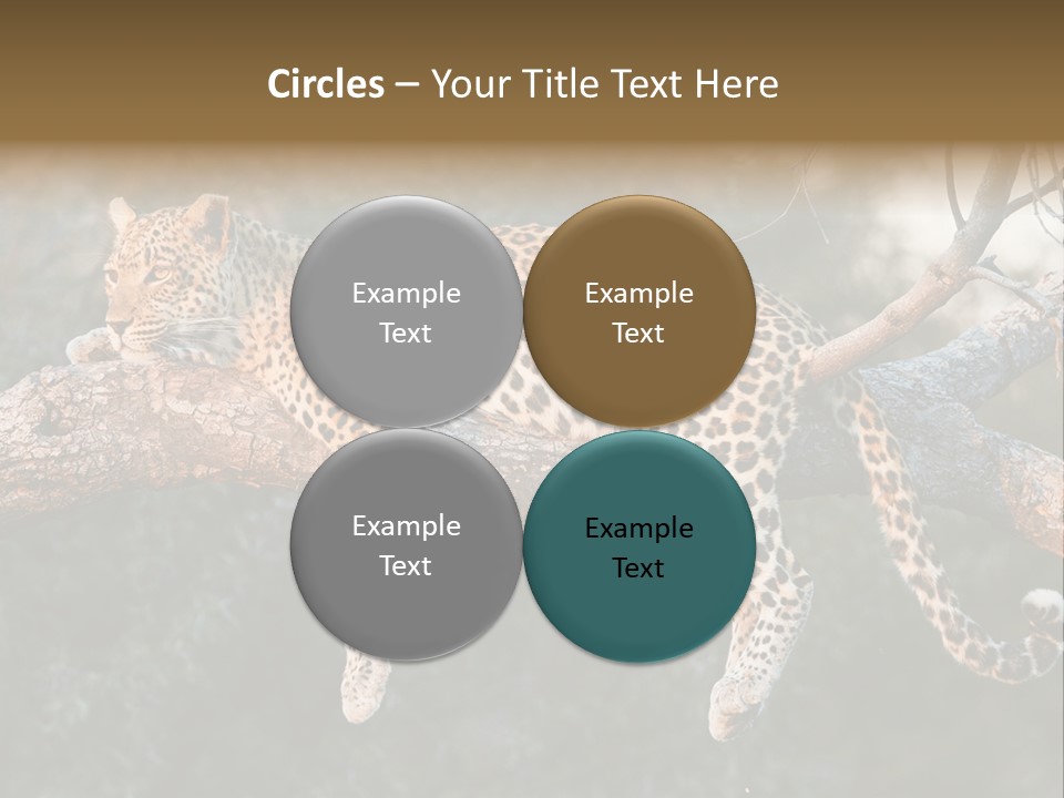 Botswana Well Fed Chitabe Camp PowerPoint Template