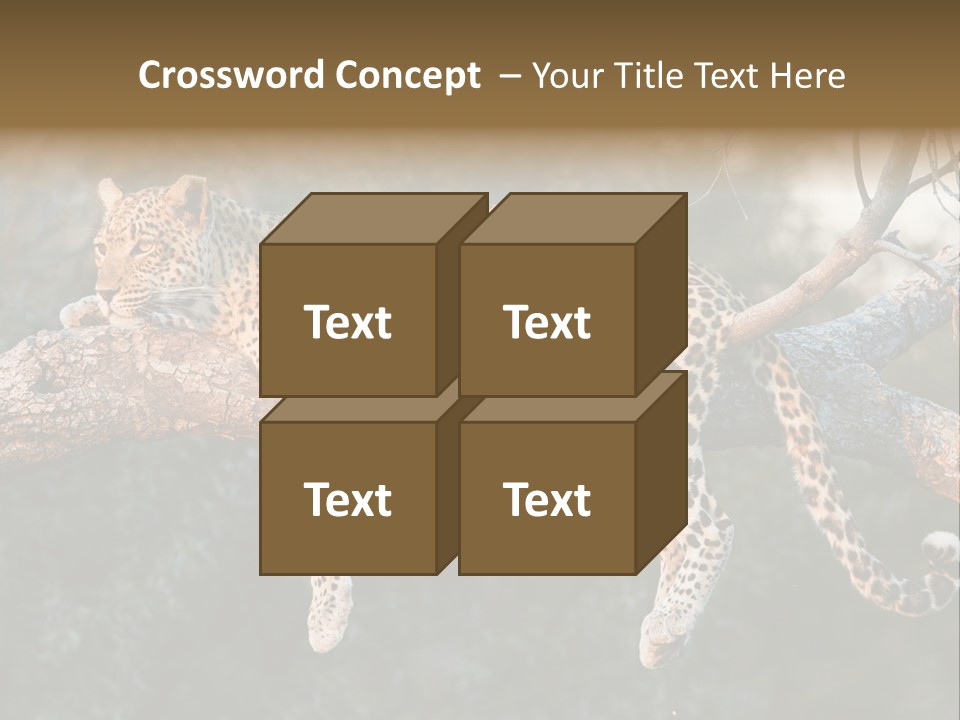 Botswana Well Fed Chitabe Camp PowerPoint Template