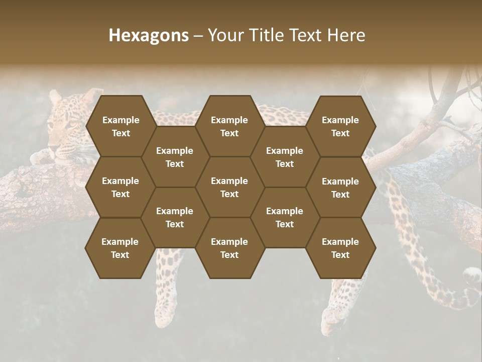 Botswana Well Fed Chitabe Camp PowerPoint Template