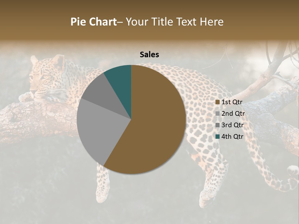 Botswana Well Fed Chitabe Camp PowerPoint Template