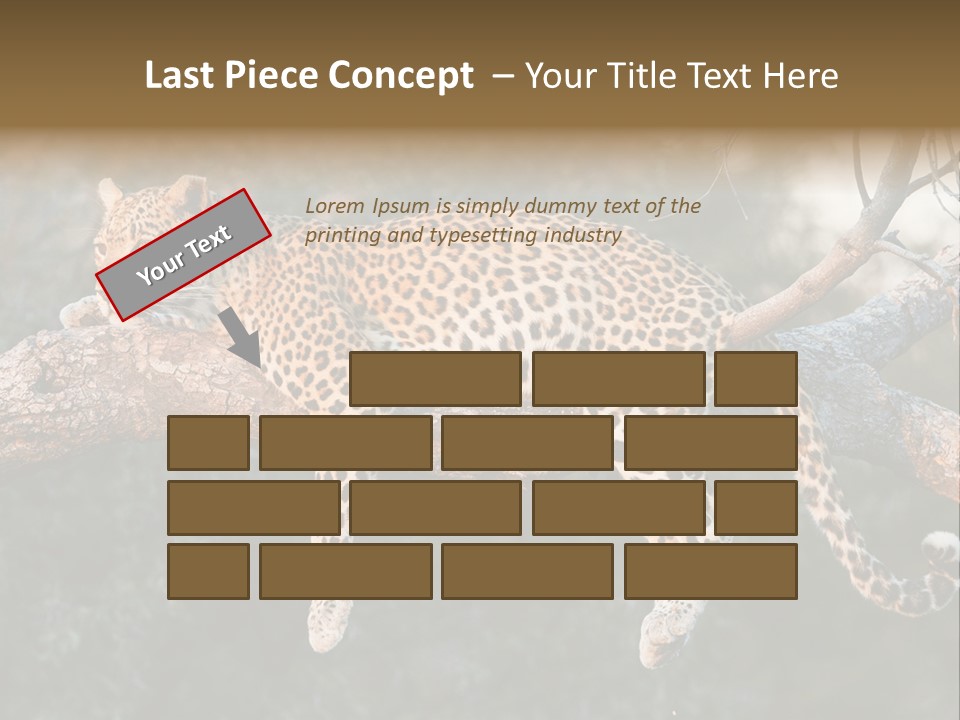 Botswana Well Fed Chitabe Camp PowerPoint Template