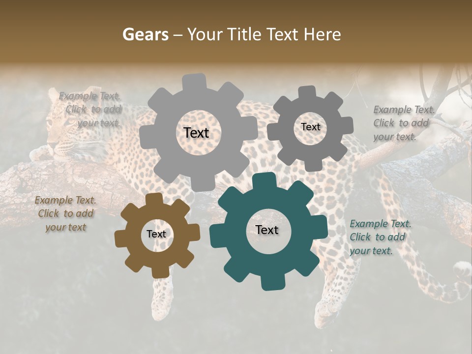 Botswana Well Fed Chitabe Camp PowerPoint Template