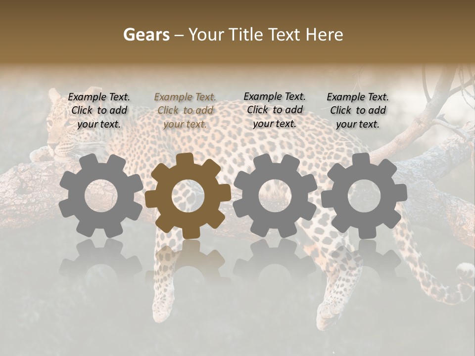 Botswana Well Fed Chitabe Camp PowerPoint Template