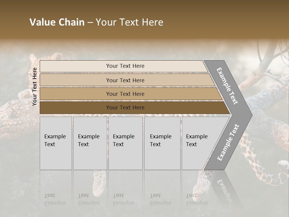 Botswana Well Fed Chitabe Camp PowerPoint Template