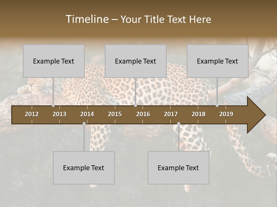 Botswana Well Fed Chitabe Camp PowerPoint Template