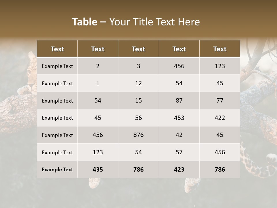 Botswana Well Fed Chitabe Camp PowerPoint Template