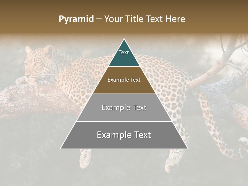 Botswana Well Fed Chitabe Camp PowerPoint Template
