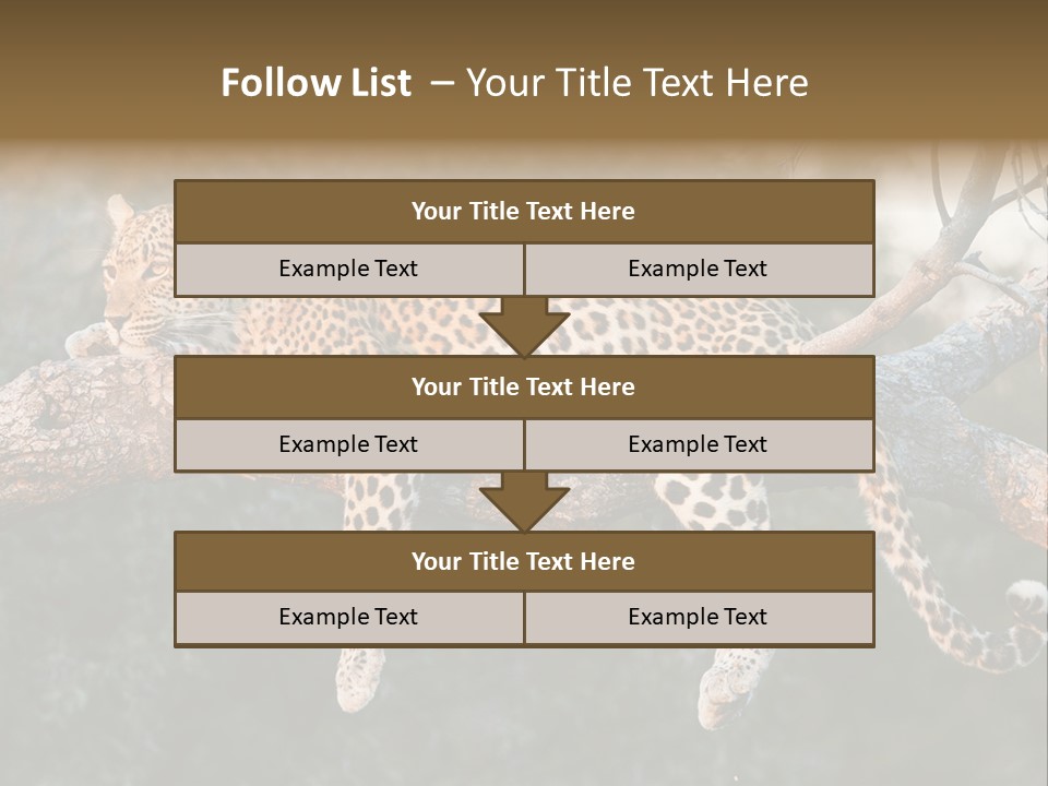 Botswana Well Fed Chitabe Camp PowerPoint Template
