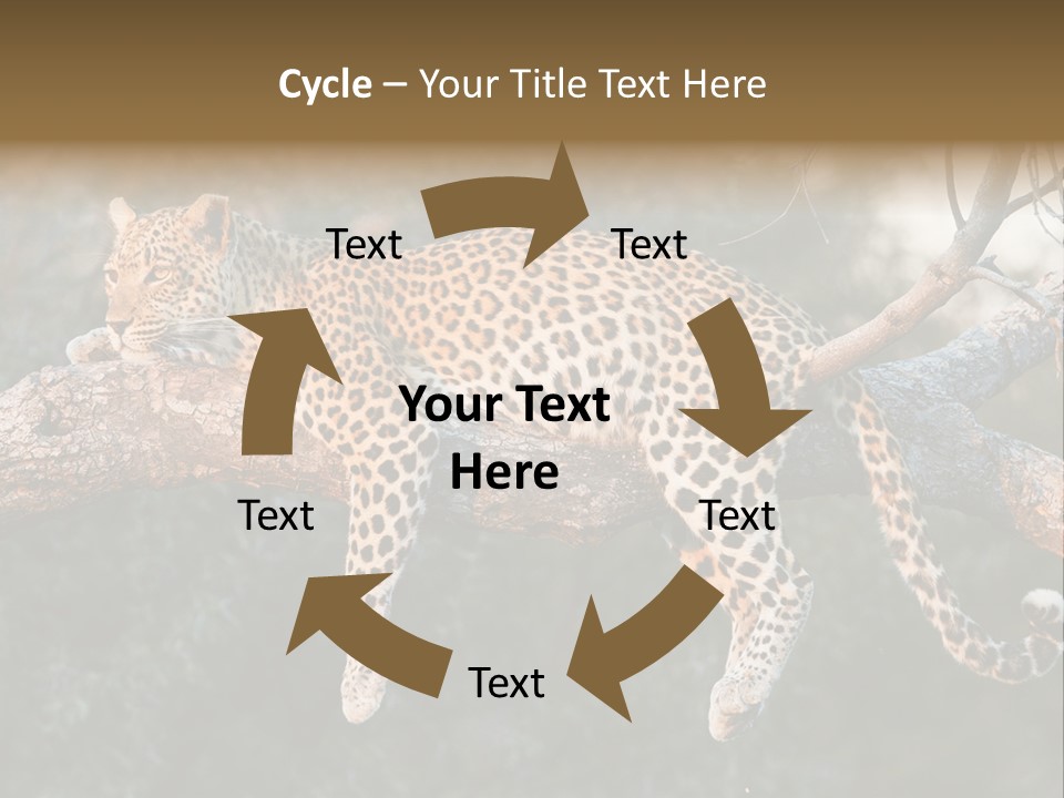 Botswana Well Fed Chitabe Camp PowerPoint Template