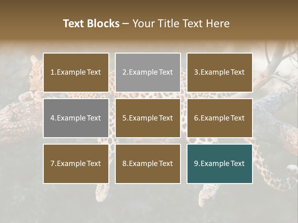 Botswana Well Fed Chitabe Camp PowerPoint Template