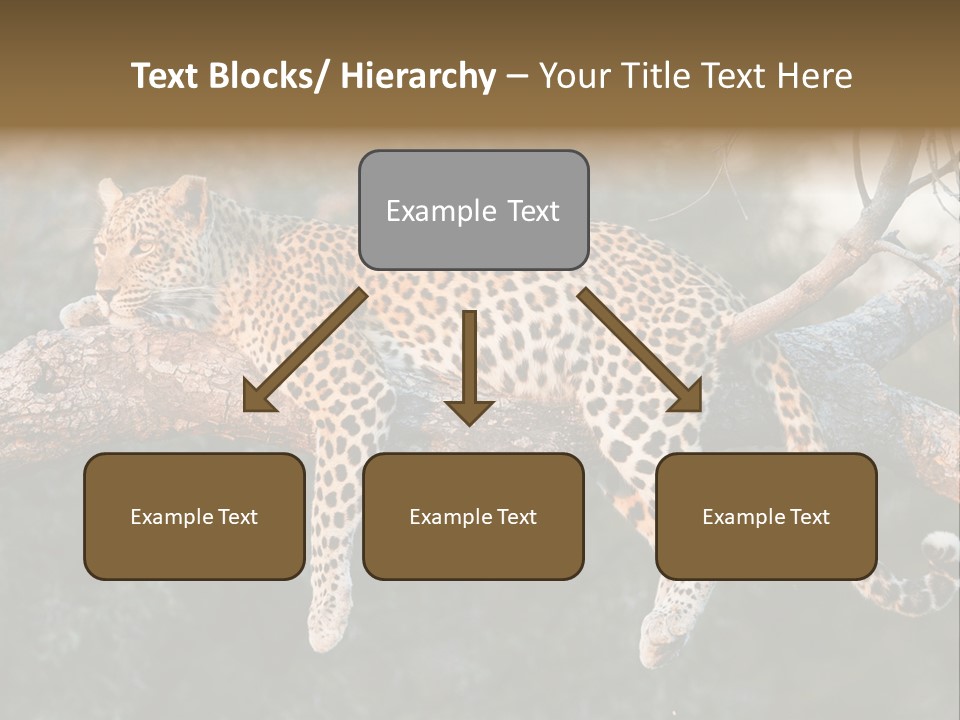 Botswana Well Fed Chitabe Camp PowerPoint Template