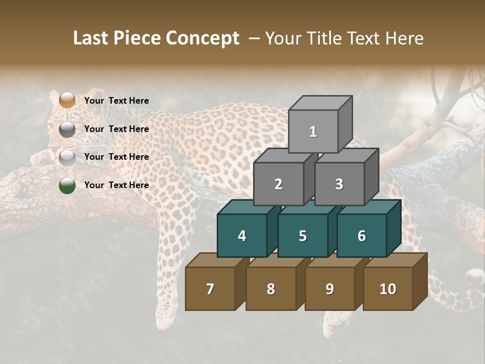 Botswana Well Fed Chitabe Camp PowerPoint Template