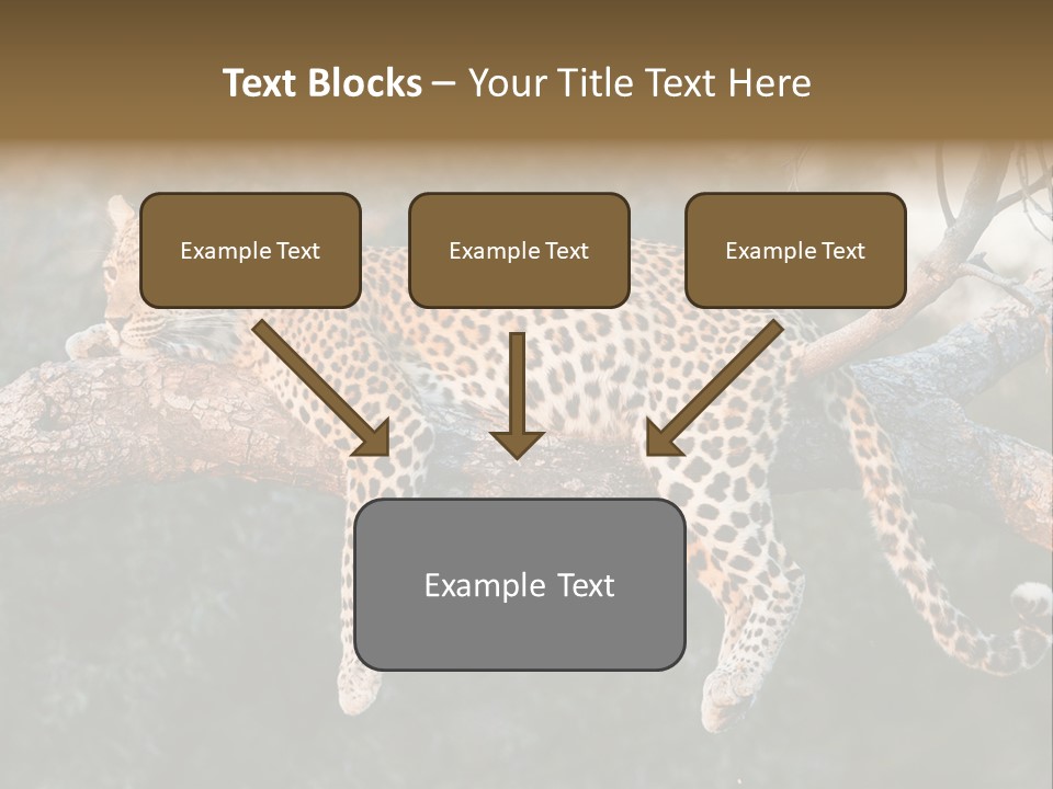 Botswana Well Fed Chitabe Camp PowerPoint Template