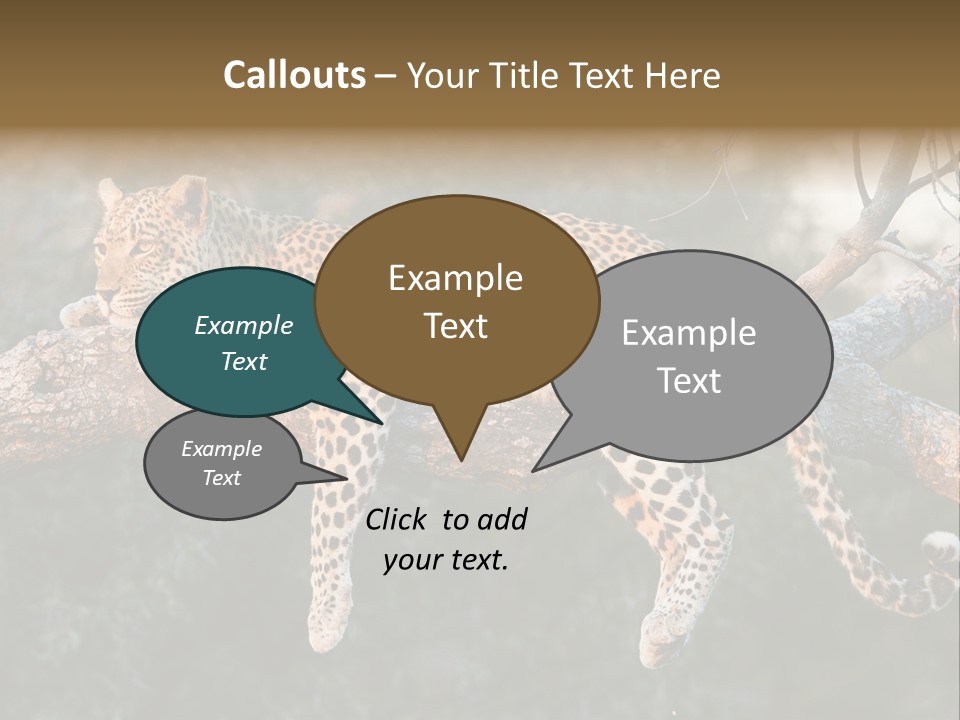 Botswana Well Fed Chitabe Camp PowerPoint Template