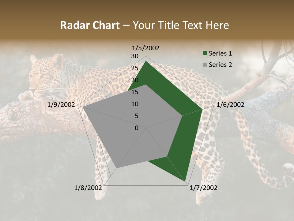 Botswana Well Fed Chitabe Camp PowerPoint Template