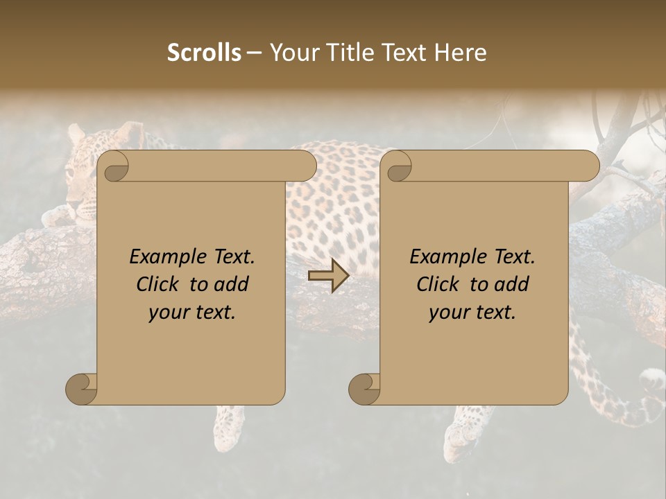 Botswana Well Fed Chitabe Camp PowerPoint Template