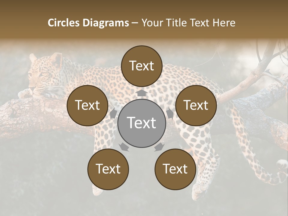 Botswana Well Fed Chitabe Camp PowerPoint Template