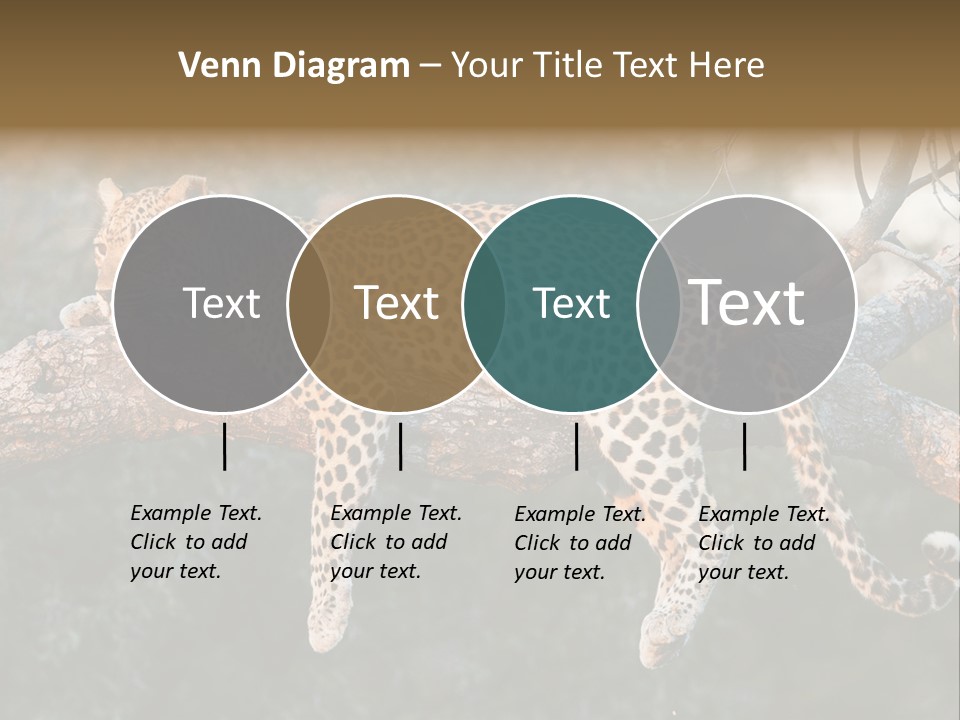 Botswana Well Fed Chitabe Camp PowerPoint Template