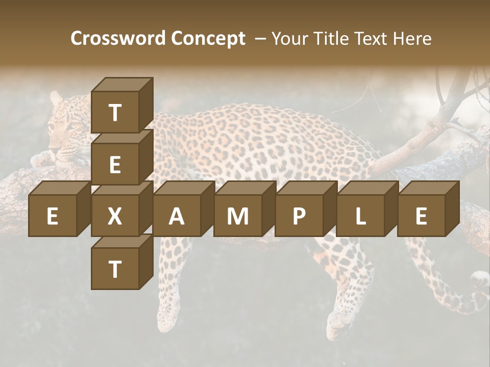 Botswana Well Fed Chitabe Camp PowerPoint Template