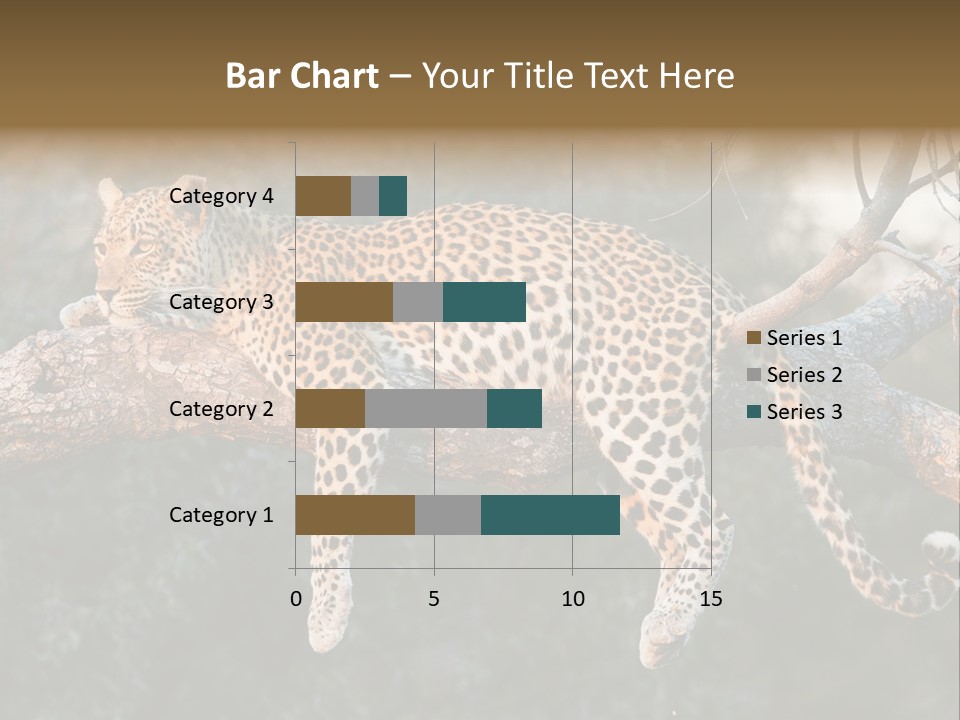 Botswana Well Fed Chitabe Camp PowerPoint Template