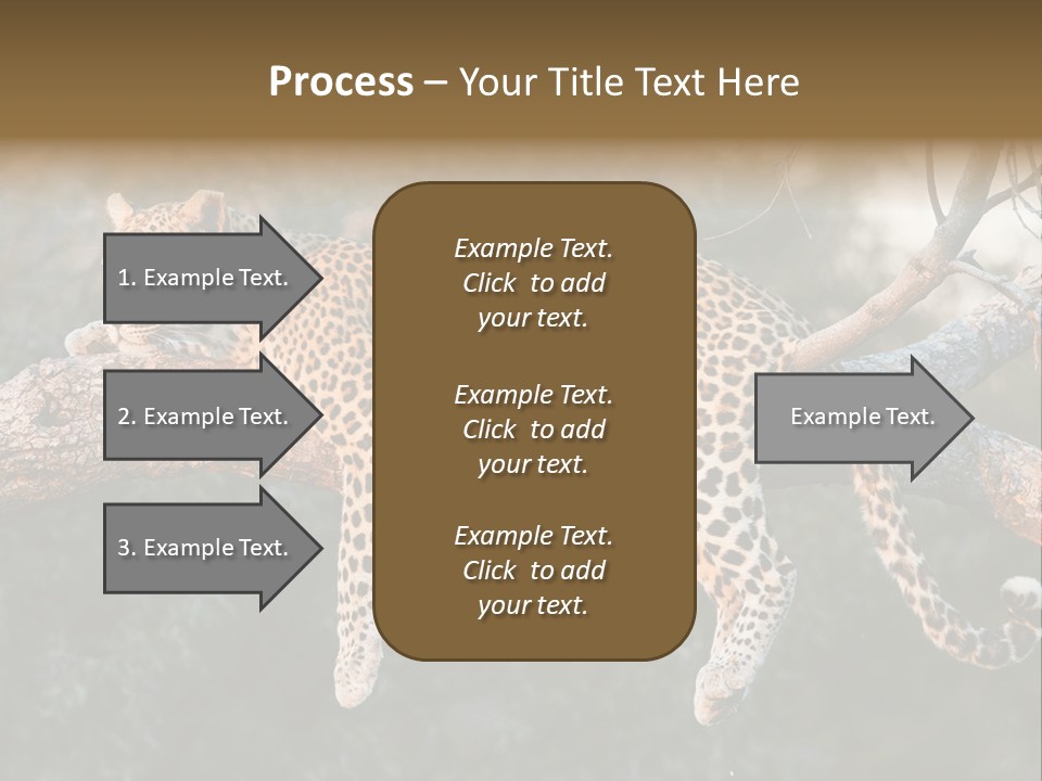 Botswana Well Fed Chitabe Camp PowerPoint Template