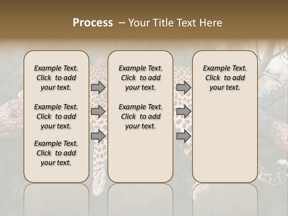 Botswana Well Fed Chitabe Camp PowerPoint Template