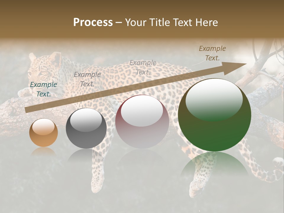 Botswana Well Fed Chitabe Camp PowerPoint Template
