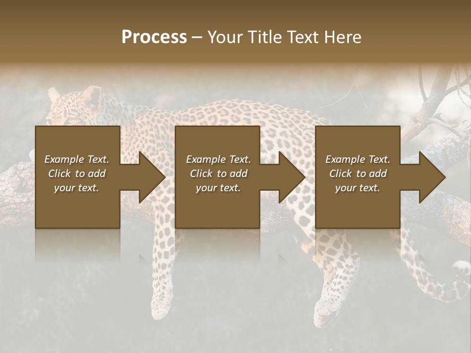 Botswana Well Fed Chitabe Camp PowerPoint Template