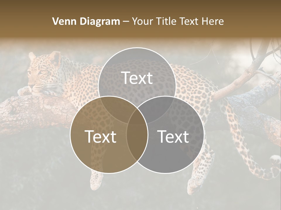 Botswana Well Fed Chitabe Camp PowerPoint Template