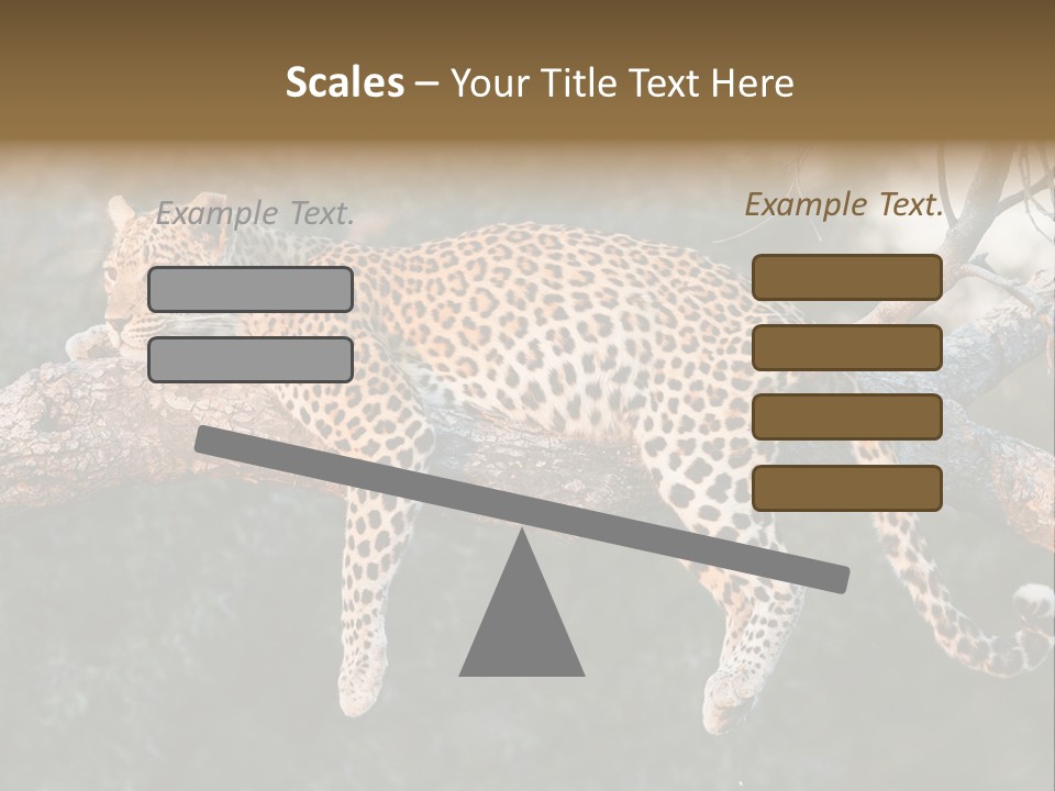 Botswana Well Fed Chitabe Camp PowerPoint Template