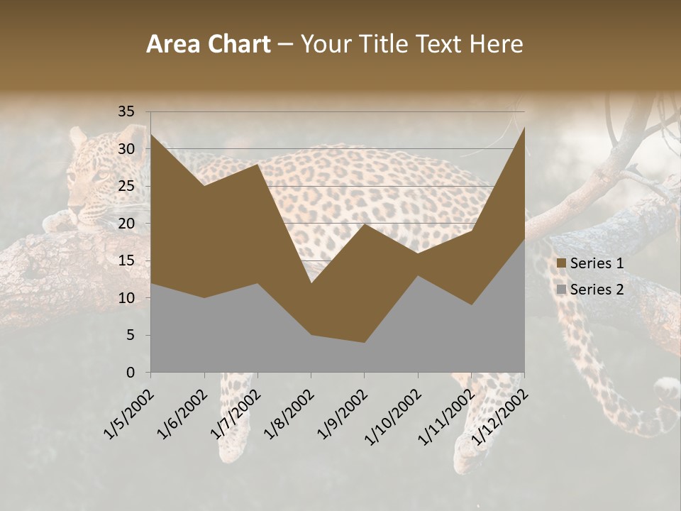 Botswana Well Fed Chitabe Camp PowerPoint Template