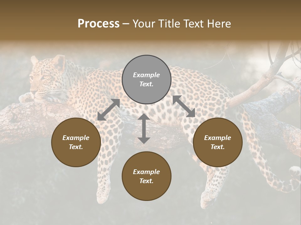 Botswana Well Fed Chitabe Camp PowerPoint Template