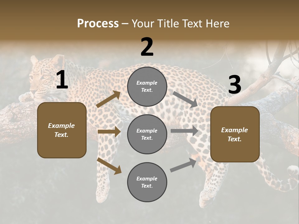 Botswana Well Fed Chitabe Camp PowerPoint Template